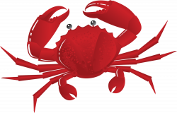 Free Crab PNG Transparent Images, Download Free Clip Art, Free Clip ...