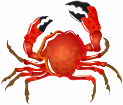 Crab Transparent PNG Image | Gallery Yopriceville - High-Quality ...