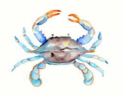 Blue Crab Watercolor Print- 8 | Clipart Panda - Free Clipart Images