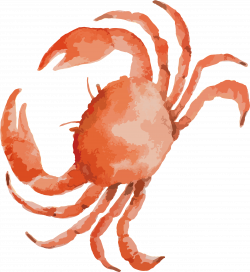 Seafood Drawing Crab Leg Clip Art Black And White Stock - Highland ...