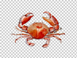 Crab Watercolor Painting Drawing PNG, Clipart, Animals, Animal ...