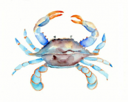 Blue Crab Watercolor-crab art, Sea Life Art, beach house decor, crab ...