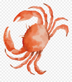 Seafood Drawing Crab Leg Clip Art Black And White Stock - Highland ...