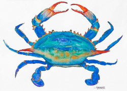 Georgia Blue Crab Watercolor Fine Art Print | Watercolor in 2019 ...
