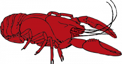 Free Crawfish Boil Clipart, Download Free Clip Art, Free Clip Art on ...