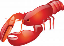 Collection of Crayfish clipart | Free download best Crayfish clipart ...