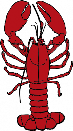 Collection of free Crawfish vector clip art. Download on UI Ex