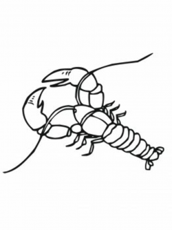 Crawfish Boil Clipart - Free Clip Art Images | Crawfish boil ...