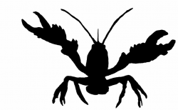 Free Crawfish Cliparts, Download Free Clip Art, Free Clip Art on ...