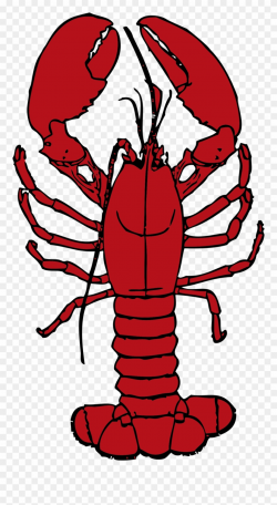 Clip Library Library Crawfish Clipart Boil - Lobster Clipart - Png ...