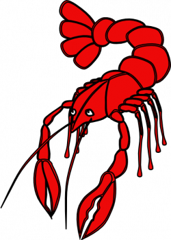 Free Crawfish Cliparts, Download Free Clip Art, Free Clip Art on ...