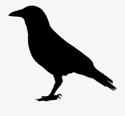Primitive Crow Clipart - Crow Black #296015 - Free Cliparts ...