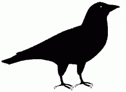 Free Crow Cliparts, Download Free Clip Art, Free Clip Art on ...