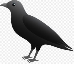 Cartoon Bird clipart - Cartoon, Drawing, Bird, transparent ...