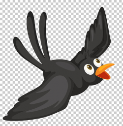 Bird Crows Cartoon , Black Crow, black bird PNG clipart ...