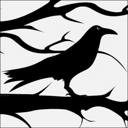 crow drawings - Bing Images | Animal silhouette, Crows ...