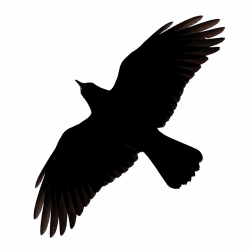 Free Raven Silhouette Cliparts, Download Free Clip Art, Free ...