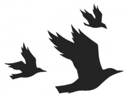 Three Flying Crows Cropped | Free Images at Clker.com ...
