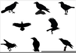 Halloween Crow Clipart | Free Images at Clker.com - vector ...