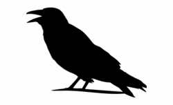 Download for free 10 PNG Crow clipart outline top images at ...