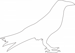 Raven Clipart Traceable Crow Clipart Outline - Clip Art Library