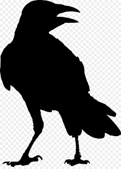 Bird Silhouette clipart - Bird, transparent clip art