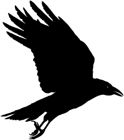 Free Crow Silhouette Images, Download Free Clip Art, Free ...