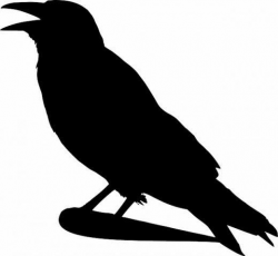 Free Printable Crow Silhouettes | Crow silhouette, Halloween ...