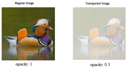 CSS Image Transparency (Opacity )