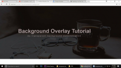 HTML & CSS Tutorial Transparent Background