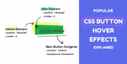 Popular CSS Button Hover Effects Explained - Dynamic Drive Blog