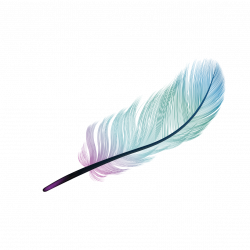 Feather Light Blue Color - Gradient blue feather png ...