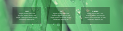 Exploring Divi 2.4: How To Use Semi-Transparent Colors ...