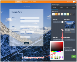How to Adjust the Opacity of a Form\'s Background