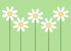 Daisy background clipart » Clipart Portal