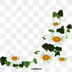 Daisy Png, Vector, PSD, and Clipart With Transparent Background for ...