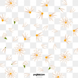 Daisy Flower Png, Vector, PSD, and Clipart With Transparent ...