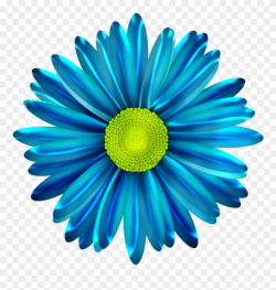 Blue Flower Clipart Blue Daisy - Blue Daisy Flower Png Transparent ...