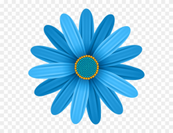 Blue Flower Transparent Png Clip Art Image - African Daisy (#440344 ...