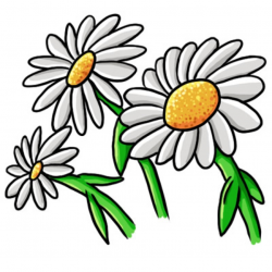 Free Daisy Flower Cliparts, Download Free Clip Art, Free Clip Art on ...