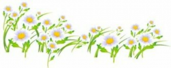 Free Daisy Chain Clipart and Vector Graphics - Clipart.me