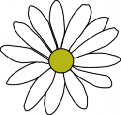 Free Transparent Daisy Cliparts, Download Free Clip Art, Free Clip ...