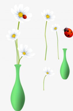 Ladybird And Daisy, Daisy Clipart, Ladybug, Chrysanthemum PNG Image ...