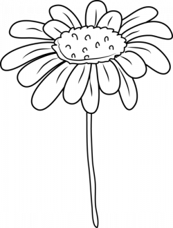 Free Daisy Flower Outline, Download Free Clip Art, Free Clip Art on ...