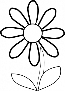 Daisy Flower Outline | Free download best Daisy Flower Outline on ...