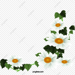 White Daisy Flower Decoration Pattern, Daisy Clipart, Flower Clipart ...