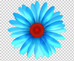 Flower Blue Turquoise PNG, Clipart, Beyonce Knowles, Blue, Closeup ...