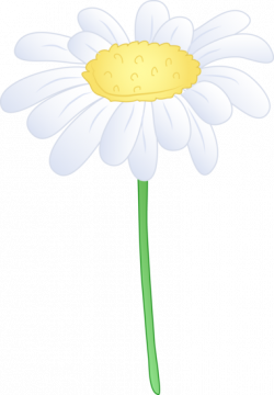 Collection of free Daisy vector single flower. Download on UI Ex