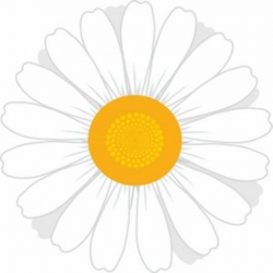 White Flowers Clip Art | Daisy Clip Art Images Daisy Stock Photos ...