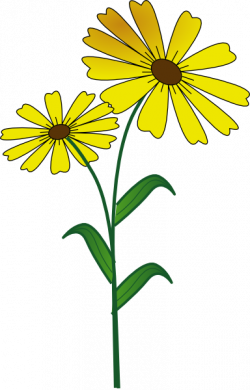 Free Yellow Daisy Pictures, Download Free Clip Art, Free Clip Art on ...